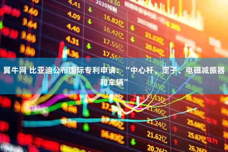 翼牛网 比亚迪公布国际专利申请：“中心杆、定子、电磁减振器和车辆”