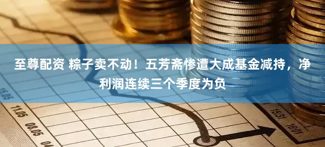 至尊配资 粽子卖不动！五芳斋惨遭大成基金减持，净利润连续三个季度为负